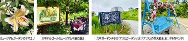 ヤマユリ、六甲オルゴールミュージアム中庭、六甲ガーデンテラス 「アリスガーデン」