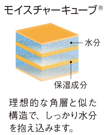 モイスチャーキューブ(R)