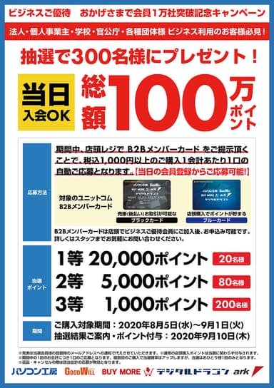 総額100万ポイント