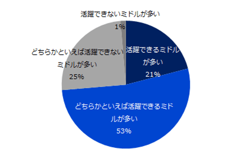 転職コンサルタント100人に聞く！
「転職先で活躍できるミドル、活躍できないミドル」調査
ー『ミドルの転職』転職コンサルタントアンケートー