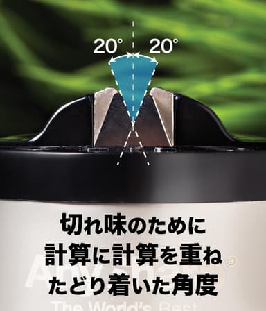 参考画像5