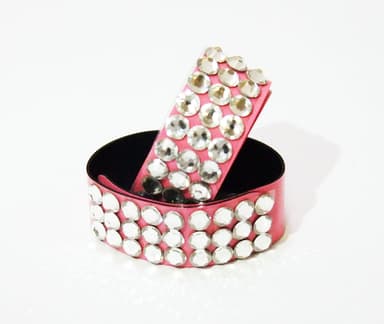 SureTouch!Girl's Edition製品画像