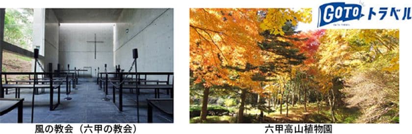 限定公開 安藤忠雄設計「風の教会」と
「六甲高山植物園の紅葉」を楽しむバスツアー
2020年10月24日(土)～11月15日(日)の土・日・祝に開催