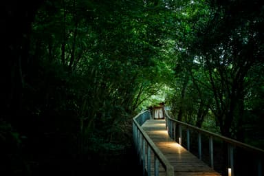 広大な箱根の森に佇む箱根リトリート