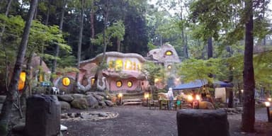 大人気！夢の家