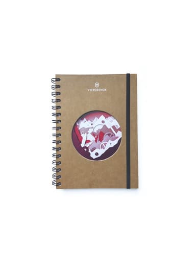 Original notebook