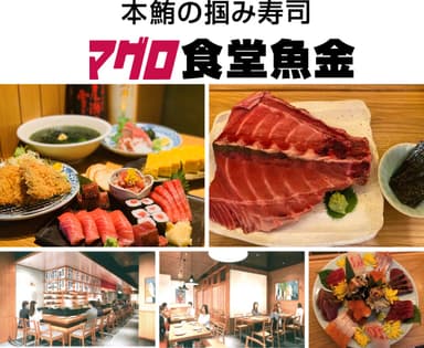 マグロ食堂魚金