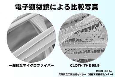 比較写真