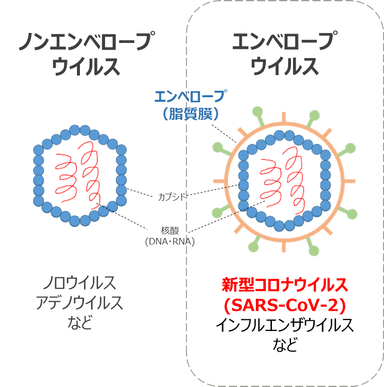 エンベロープウイルス