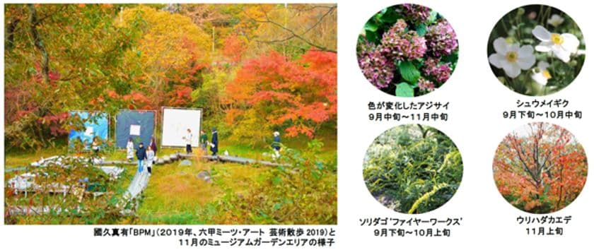 六甲オルゴールミュージアム 六甲ミーツ・アート 芸術散歩2020
ミュージアムガーデンで楽しむ芸術の秋
～昼と夜の秋の庭で紅葉と現代アートを楽しむ～