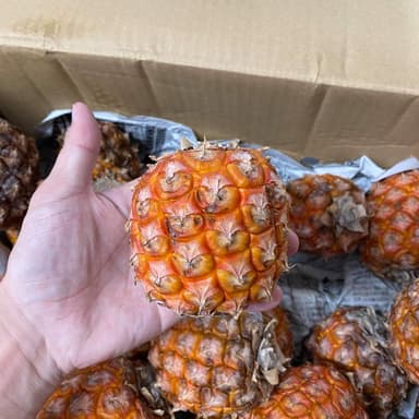 出荷されない小さなサイズ使用