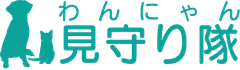 ダブルストランド株式会社