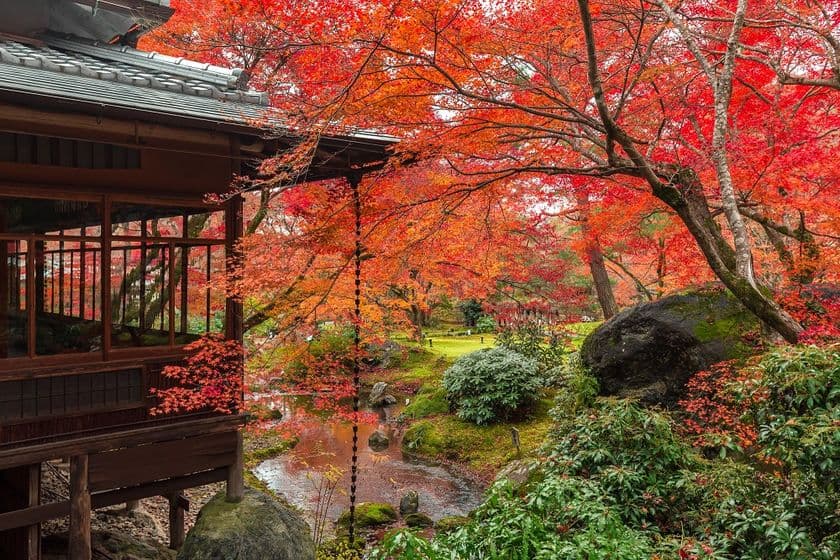 秋の京都の紅葉や夜景を貸し切りで堪能　
早朝や夜間、密を避けた『秋の貸切プラン』を販売開始