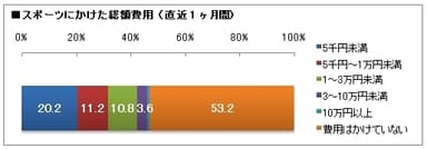スポーツにかけた総額費用(直近1ヶ月間)