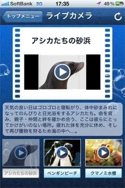 ライブカメラ
