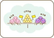 イラスト3