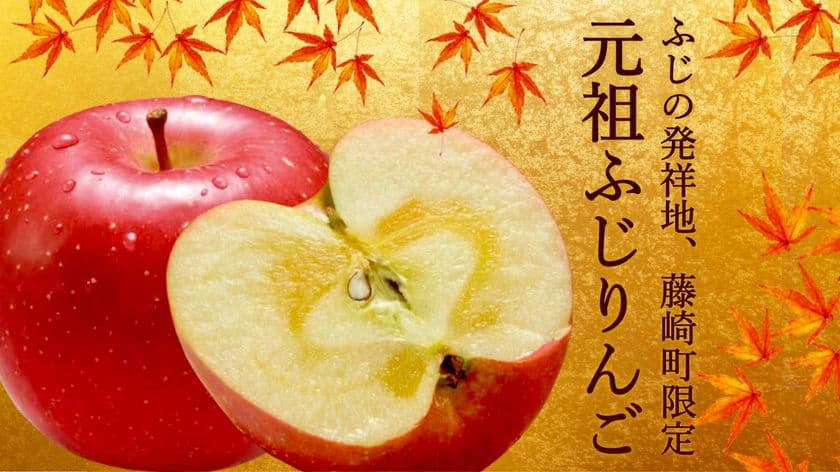 ふじりんごの発祥地 青森県藤崎町で限定生産される
『元祖ふじりんご』のクラウドファンディング開始