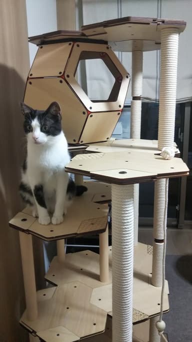 にゃんこカプセル使用例　タワーの内部に設置して空間を有効利用