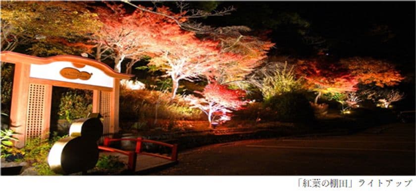 有馬唯一の紅葉ライトアップを
「太閤の湯」園内「紅葉(こうよう)の棚田(たなだ)」で開催
GOTO有馬ナイトイベント！「写メってお得に太閤の湯キャンペーン」開催
2020年11月1日（日）から