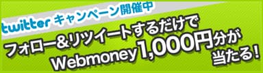 campaign