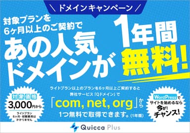 ドメインキャンペーン