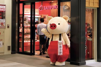 店舗　ヨーク