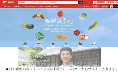 「新鮮野菜便 -Fresh Vegetable Direct-」TOPページ