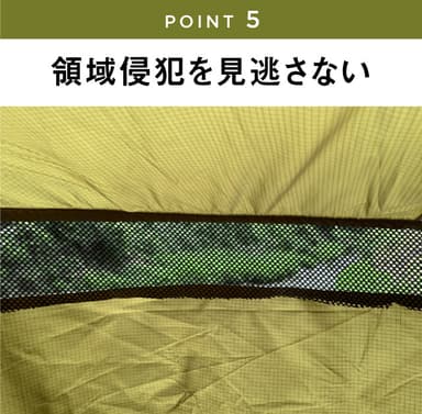 ポイント5