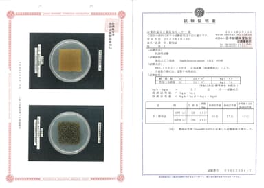 銀染抗菌試験