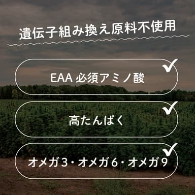 アマナ ヘンプ プロテイン 11