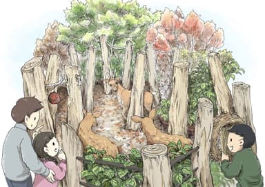 「ケープの森」イメージ