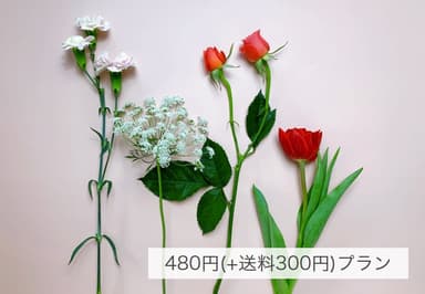 ＋act for flowers plan