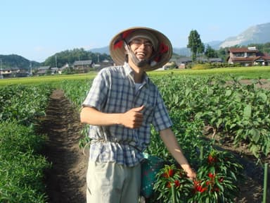 無農薬農家　生産者