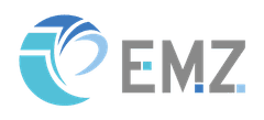 EMZ国際投資税理士法人