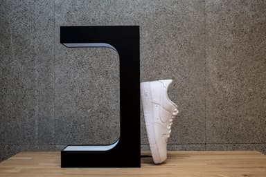 FLY SHOES