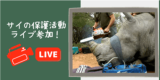 サイの角切り活動にライブ参加！ 支援金額：10&#44;000円