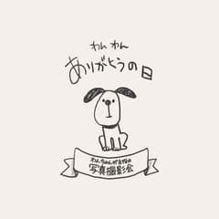 DOZONO STUDIO 株式会社