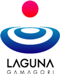 東海地区最大級のカウントダウンライブイベント
「LAGUNA New Year's COUNTDOWN 2012」を12月31日開催！
大ブレイク中のソナーポケットをはじめ、地元からMEGARYU、Ms.OOJAなど…、
8組の出演アーティストが決定！