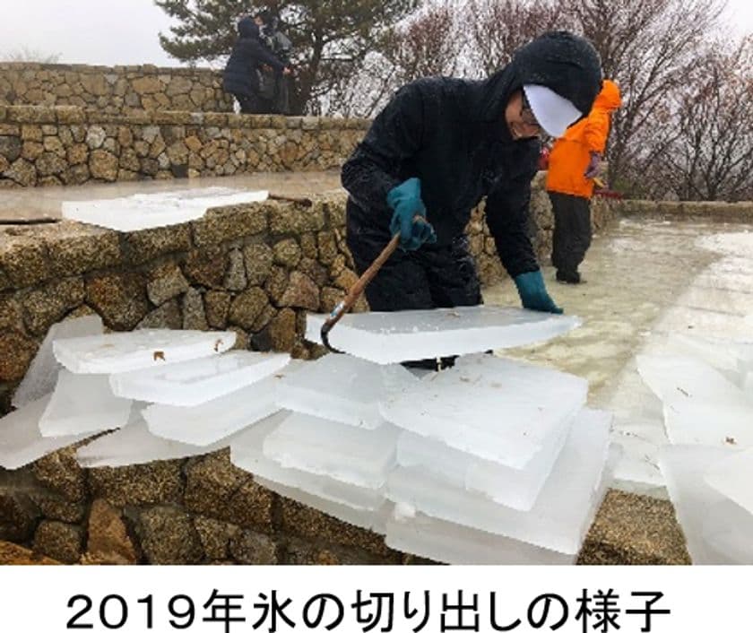 六甲山の冬の風物詩「氷の切り出し」
「大寒の日」1月20日（水）10時から
2年ぶりに開催！！