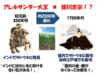資料抜粋 歴史