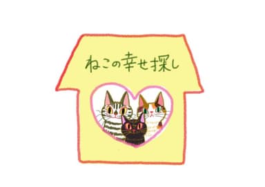 ねこの幸せさがし(保護猫団体)