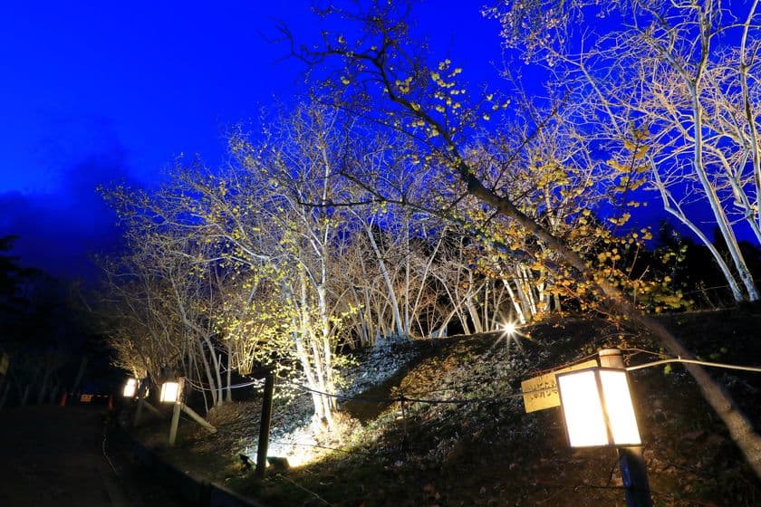 昨年好評だった「長瀞宝登山臘梅ライトアップ」　
2021年1月30日(土)より開催