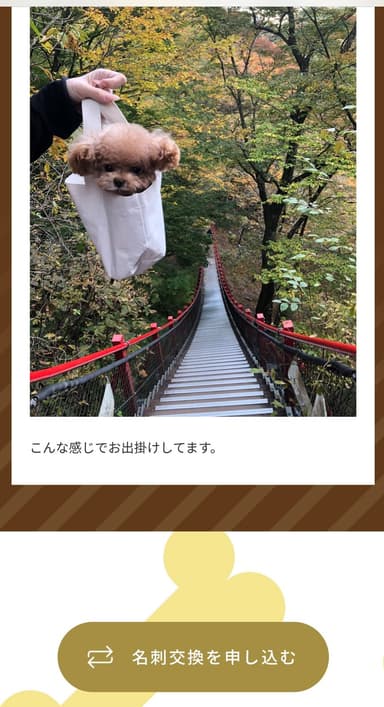 気になるワンちゃんと、名刺交換を申請できるよ。