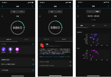 妊娠アプリ画面：左から毎日の記録、ヒント、4週間データ