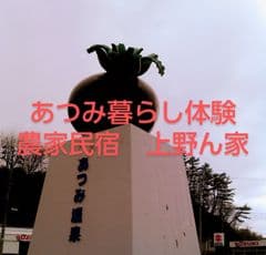 農家民宿　上野ん家