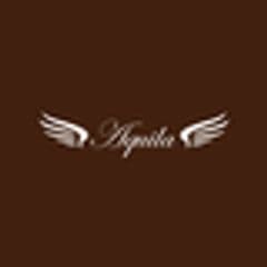 合同会社Aquila