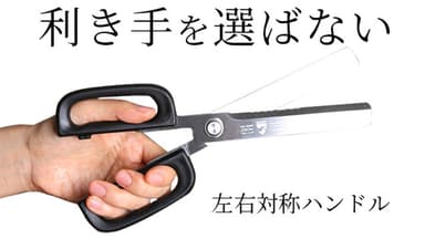 左手