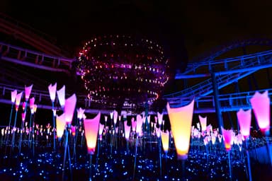 光の花園