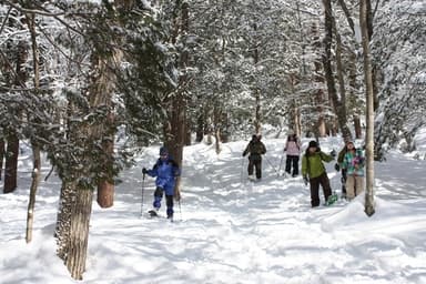 ひるがの高原スノーウオークイメージ