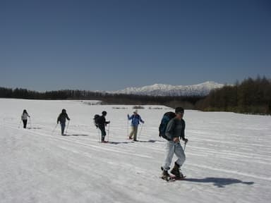 ひるがの高原スノーウオークイメージ2